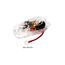 Wesbar - Replacement Tail Lamp